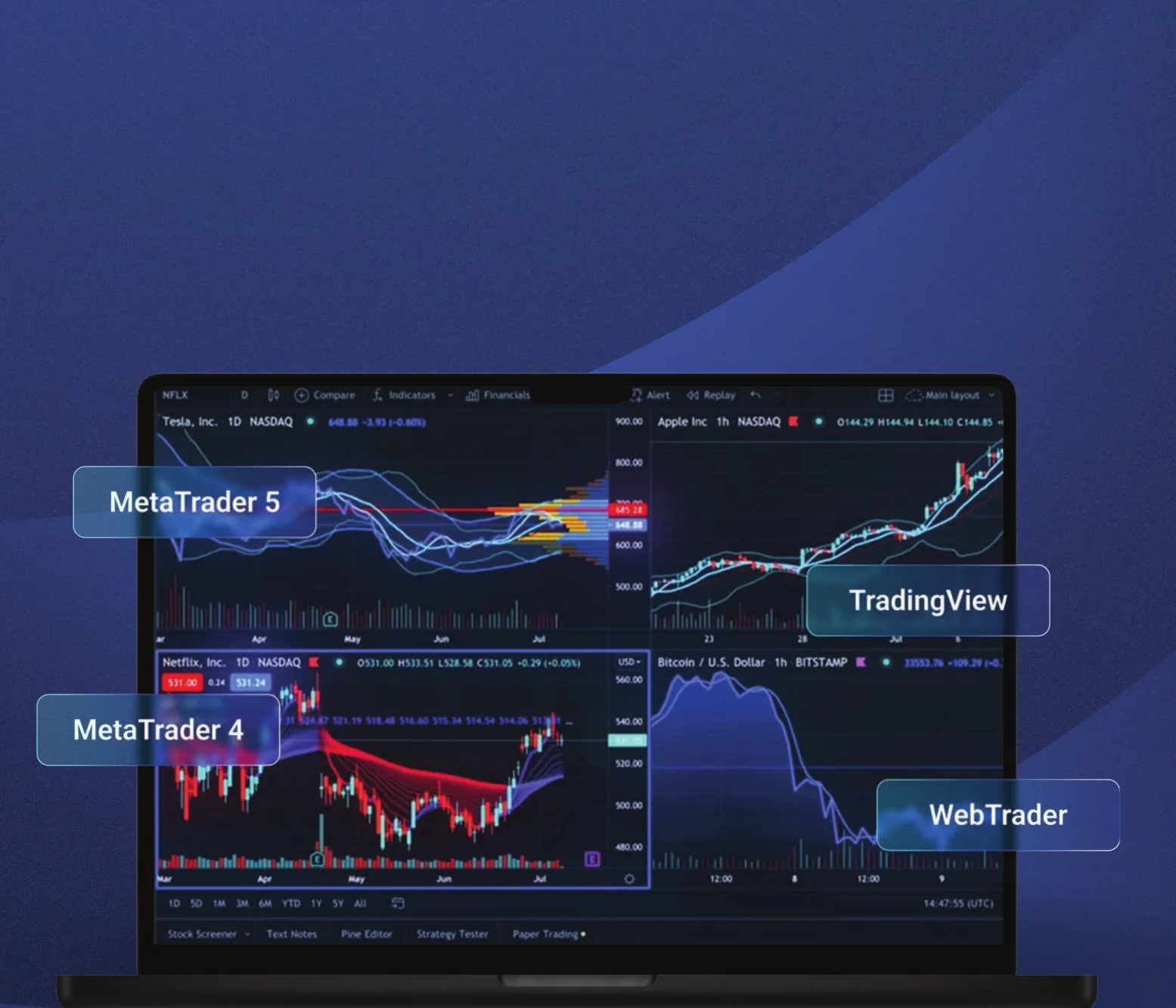 MetaTrader 4, MetaTrader 5, TradingView y WebTrader sobre la infraestructura de VT Markets
